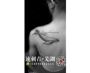 芜湖纹身芜湖刺青鲸鱼纹身 (2)