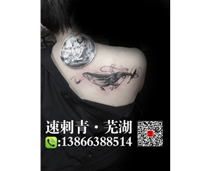 芜湖纹身芜湖刺青鲸鱼纹身 (3)