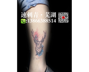 芜湖纹身芜湖刺青鹿头纹身 (2)